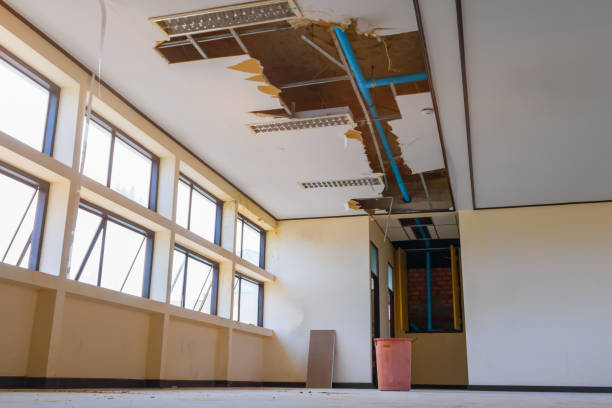 Best Flood restoration services  in Laurel Springs, NJ