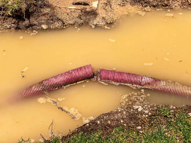 Best Basement water damage restoration  in Laurel Springs, NJ